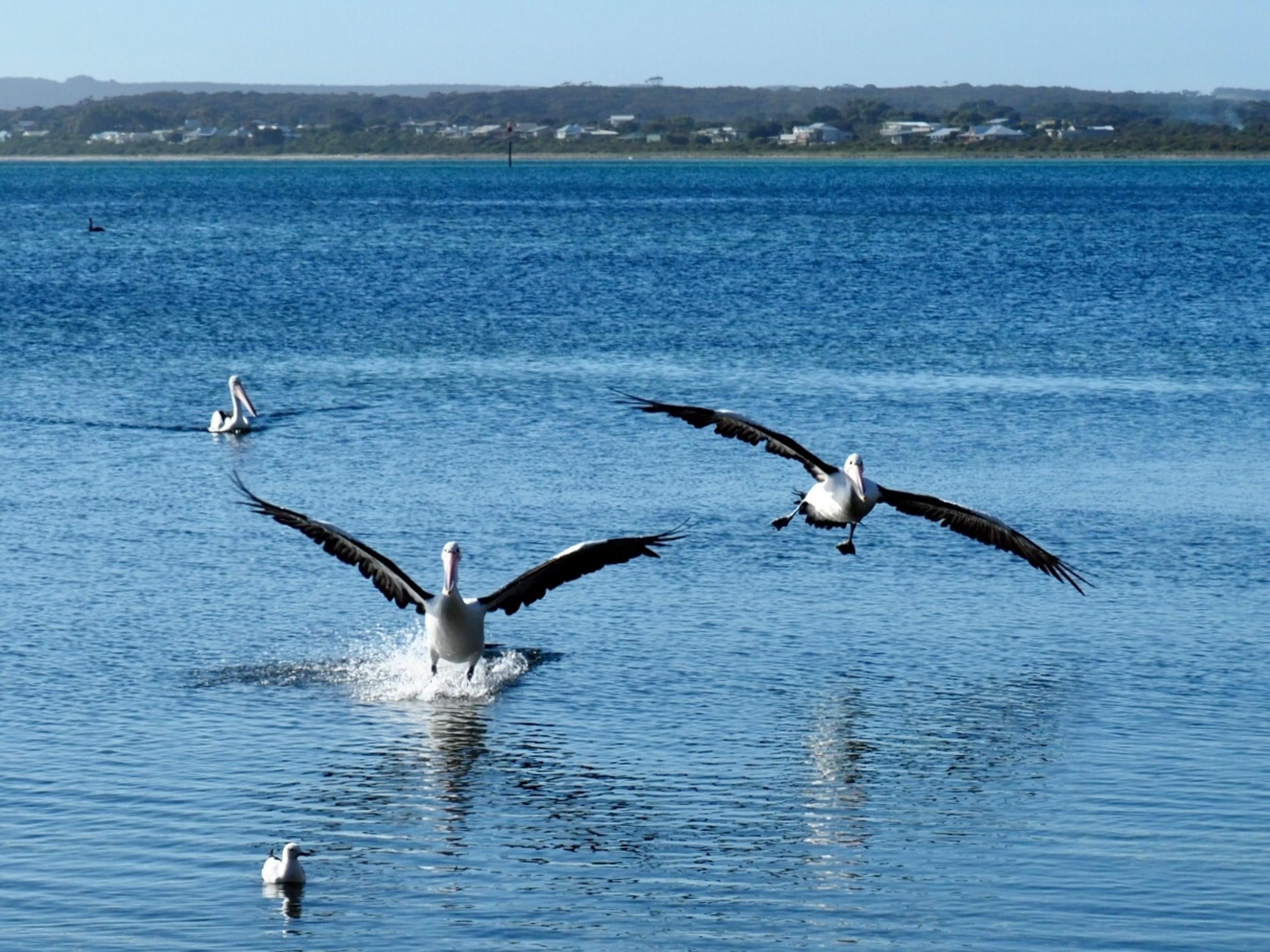 Mercure Kangaroo Island Lodge American River Экстерьер фото