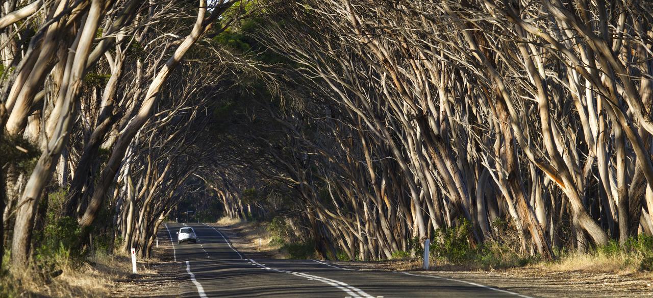 Mercure Kangaroo Island Lodge American River Экстерьер фото